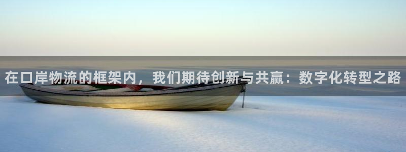 豪门国际推广链接是多少粉丝：在口岸物