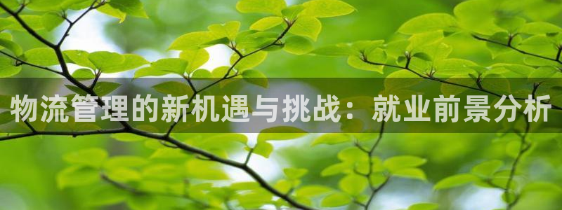 豪门国际加拿大模拟器：物流管理的新机