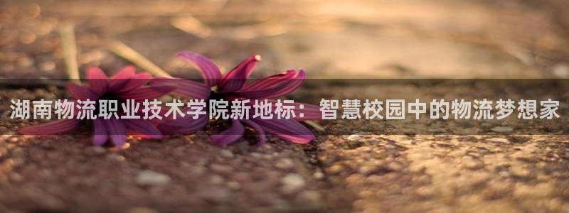 豪门国际怎么注册游戏名字：湖南物流职
