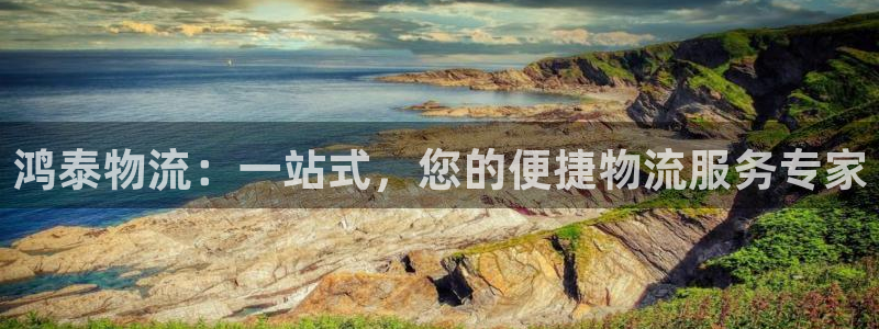 豪门国际官网下载多少：鸿泰物流：一站