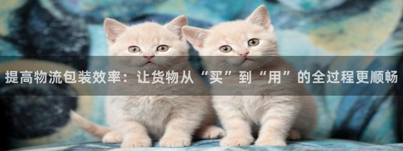 豪门国际连接：提高物流包装效率：让货