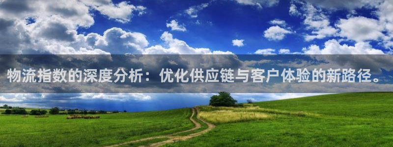 豪门国际口：物流指数的深度分析：优化