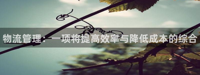 豪门国际是正规平台吗：物流管理：一项将提高效率与降低成本的综