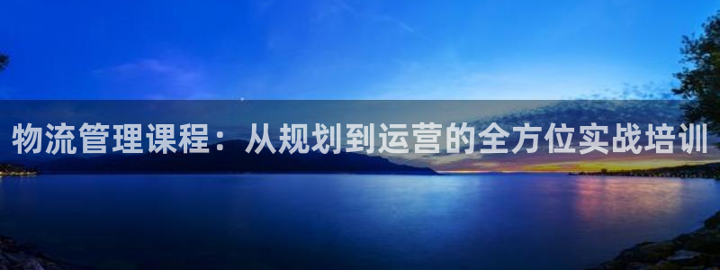 豪门国际模拟器在线玩：物流管理课程：从规划到运营的全方位实战