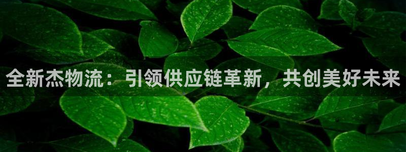 豪门国际登录网：全新杰物流：引领供应