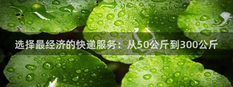 豪门国际提现不到账：选择最经济的快递