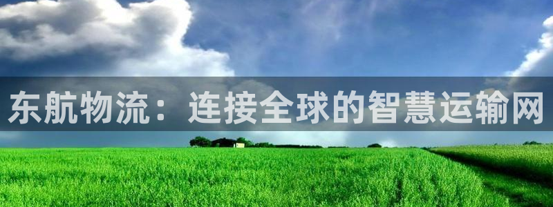 豪门国际女王中奖记录查询：东航物流：