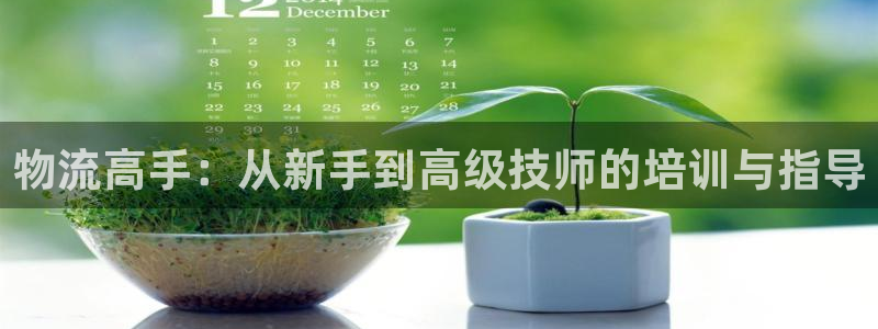 豪门国际官网多少：物流高手：从新手到
