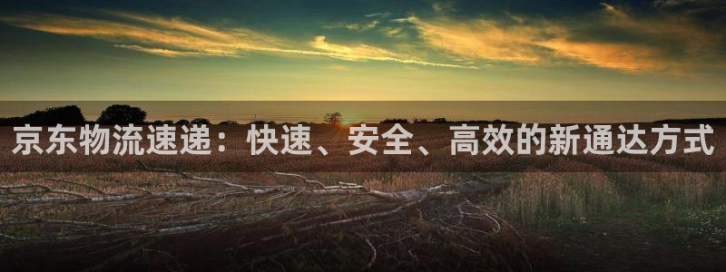豪门国际官方版网站：京东物流速递：快