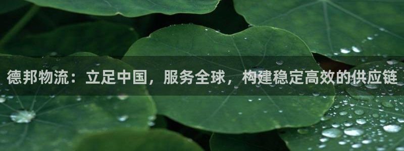 豪门国际电子：德邦物流：立足中国，服