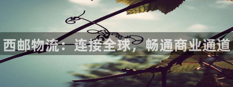 豪门国际加拿大2.8预测在线预测：西