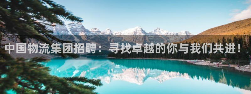 豪门国际官网版所有版本