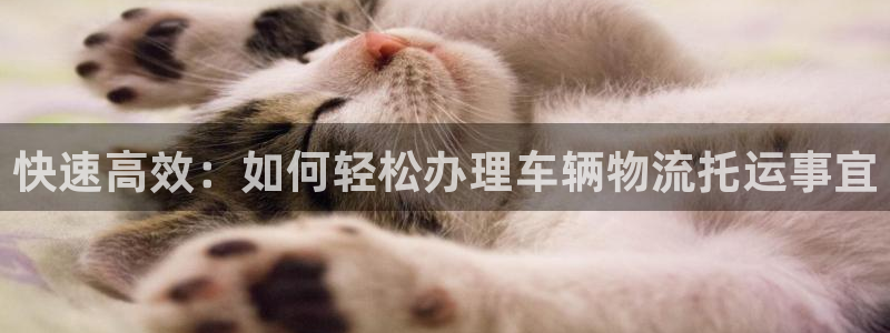 豪门国际百度百科